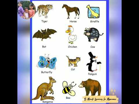 Learning Animals with kids in English and Myanmar