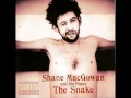 Shane MacGowan - I'll Be Your Handbag