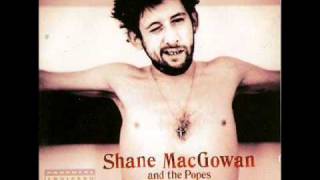 Shane MacGowan - I'll Be Your Handbag
