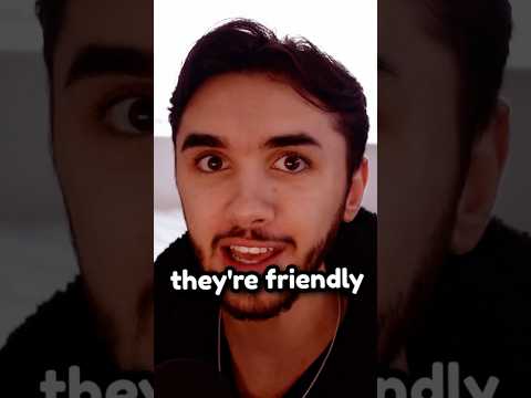 He got too close to a jaguar... #shorts #shortsfeed #youtubeshorts #cringe #survival #comedy #funny