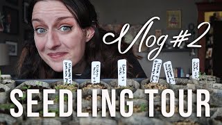 Seedling Tour, Making Paper Pots, & Potting Up | Garden Vlog 02