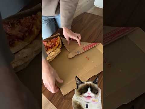 📦 He Folded a Whole Pizza Box Into a Tiny Slice?! This Guy’s Living in 3025 🍕