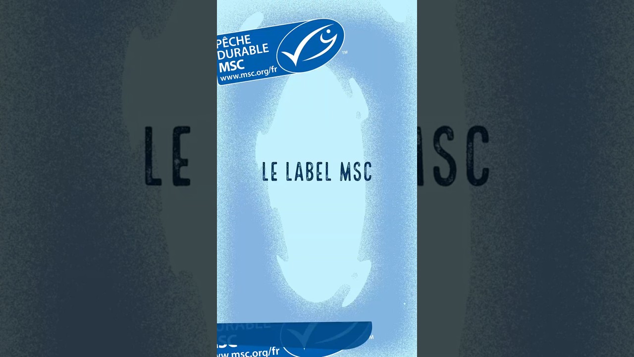 Le label MSC, Comment ça marche