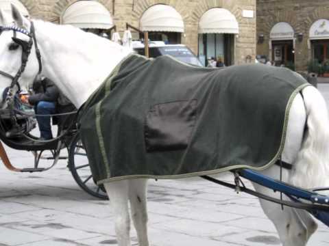 Camilla a Firenze parte 1