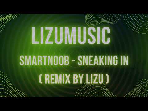 SmartNoob - Sneaking In ( REMIX BY LIZU )  | LIZUmusic
