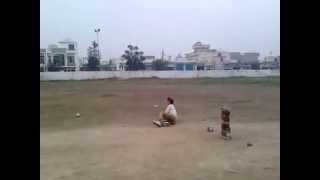 preview picture of video 'Gagan Singh (bholu), funny batsman'