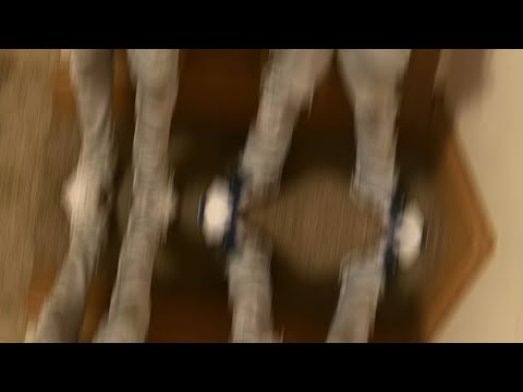 Fat folks x Lil juvie - never (official music audio)