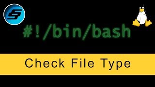 Check File Type (file) - Bash Scripting