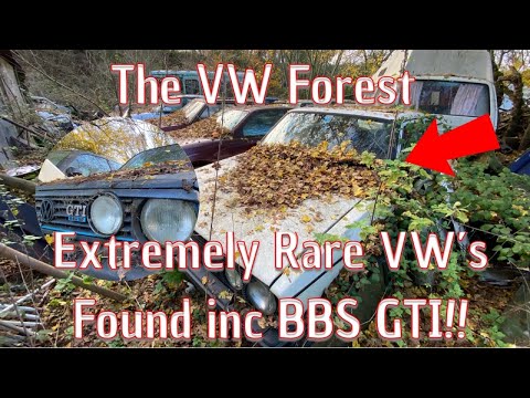 The VW Forest.. An Incredible Collection Of Rare Classics Inc A Mk2 BBS GTI, VR6, 4 Motion & More!