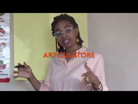 LING1 Unit 4 - Sound Check: Phonetics, Part 1