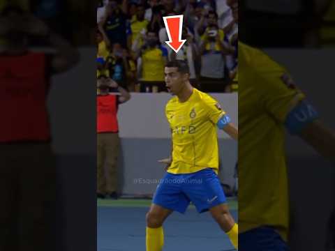 Quais são os CACHORROS dos Jogadores de Futebol