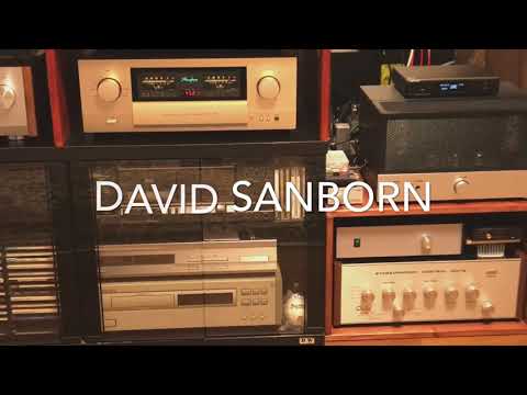 Topping D90 PCM96 24bit David Sanborn