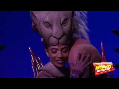 Daniela Pobega - MUSICALS