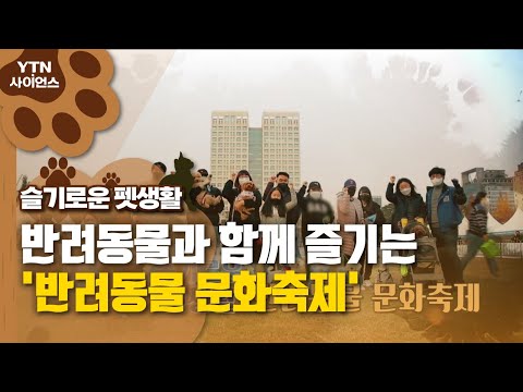 [슬기로운 펫생활] 반려동물과 함께 즐기는 '반려동물 문화축제' / YTN 사이언스