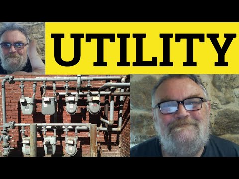 Define Information Utility