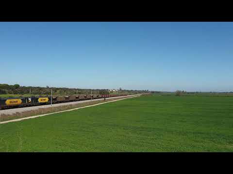 Comboio Especial n.º 95204/5 - Carapetal