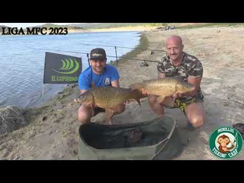 TRAILER 3*FASE. LIGA MFC 2023. CARPFISHING.