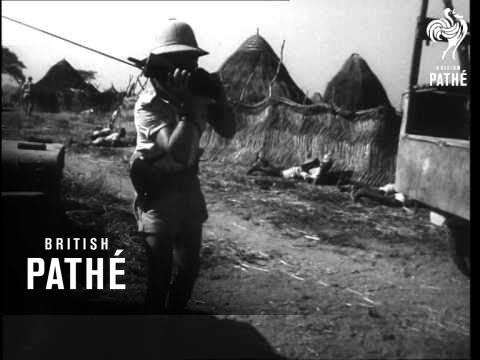 Manoeuvres In French Africa (1951)