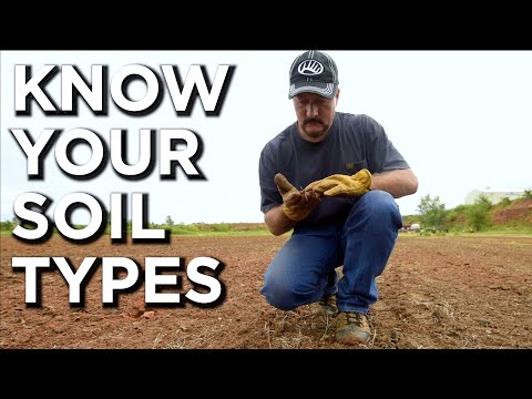 Understanding Soil Types | Clay, Loam & Sand