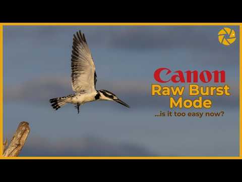 Raw Burst Mode | Boost your BIF keeper rate!!!