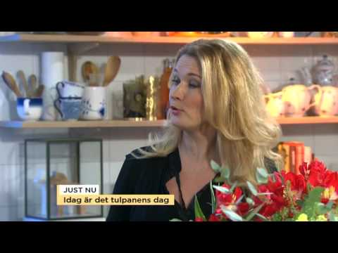 Tänk på detta när du köper tulpaner - Nyhetsmorgon (TV4)