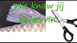 Delain- the other side (Reversed) Lyrics &#39;Aah mijn arm creme&#39;