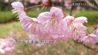 大貫妙子・春の手紙   cover  Otoizumi