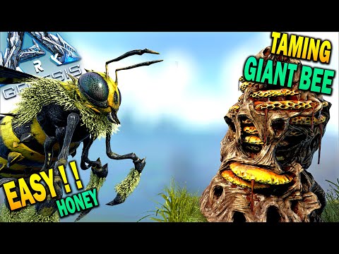 🐝Ark EASY Honey Farm + Instant Giant Bee Tame !! How To Tame Giant Bee Ark Survival Evolved