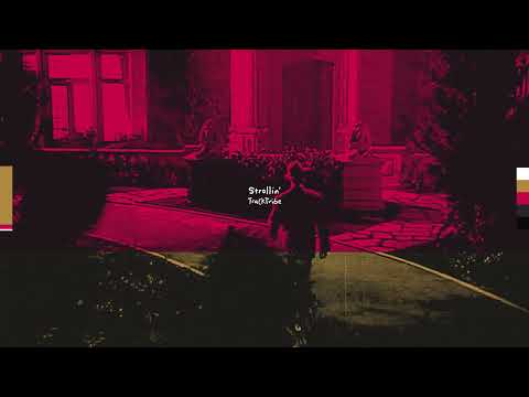 TrackTribe - "Strollin'" [Copyright Free]