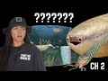 The Ordovician Period That We Know Of Lindsay Nikole