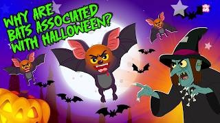 Why Are Bats Associated With Halloween? 🦇🎃 | Halloween Facts for Kids | The Dr. Binocs Show