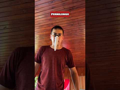 SE OS ANIMAIS FALASSEM 😂