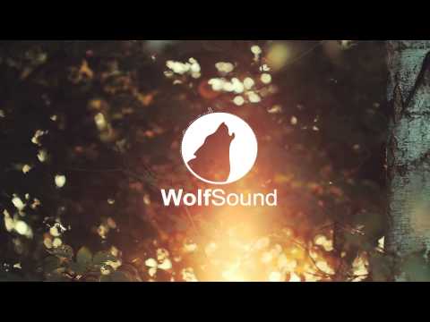 Tobu - Seven [Wolf Sound]