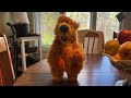1999 Mattel Bear Cha Cha Cha Cha Cha Bear In The Big Blue House