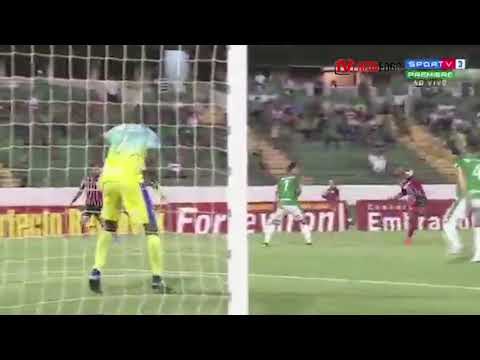 GOLS: Guarani 0x2 Botafogo - Série B - 14/10/2019