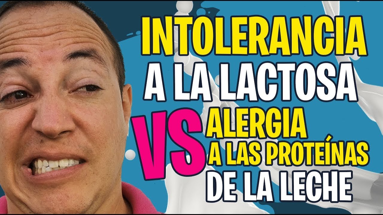 Watch Diferencias entre alergia a las proteínas de la leche de vaca e intolerancia a la lactosa Now Diferencias entre alergia a las proteínas de la leche de vaca e intolerancia a la lactosa