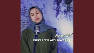 Download lagu Pestamu Airmataku mp3 Download lagu Pestamu Airmataku mp3
