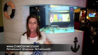 Why Heather King of Animal Planet's Tanked Love Crab Corner