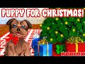 WE GOT A PUPPY FOR CHRISTMAS | Bloxburg Family Roleplay | Roblox