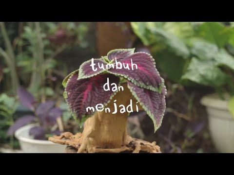 Banda Neira - Tumbuh dan Menjadi (Video Lirik)