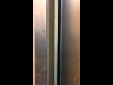 The Last Mike Ruocco Tour Diary Ever...