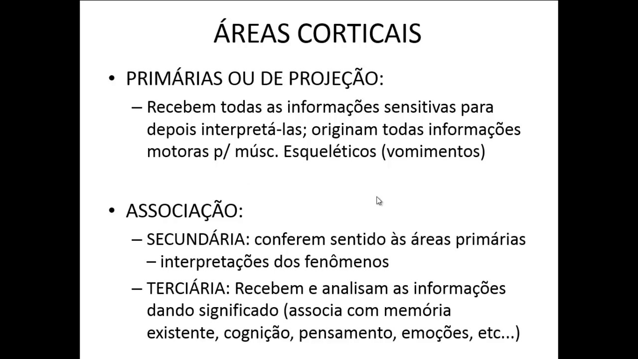 CÓRTEX CEREBRAL PARTE 2 - ÁREAS CORTICAIS PRIMÁRIAS OU DE PROJEÇÃO
