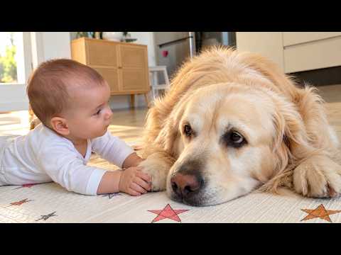 YouTube 썸네일
