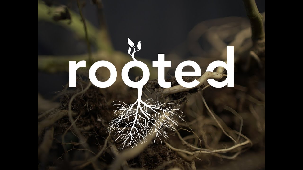 Sandy Hook UMC 2.7.21 -  ROOTED 5:  Rooted in Love for our City & World by Pastor Paul Dazet