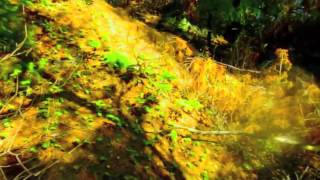 Zombie - Mike MacKenzie