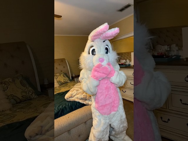 Vídeo relacionado con Morph Disfraz Conejo Adulto, Traje Conejo De Pascua, Disfraces Conejos, Easter Bunny Costume, Disfraz Carnaval Adulto Hombre Mujer - XL