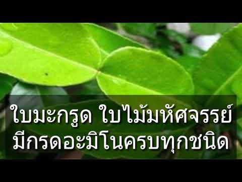 ผู้หญิงครางตื่นเต้น สาเหตุของโรคหย่อนสมรรถภาพทางเพศ