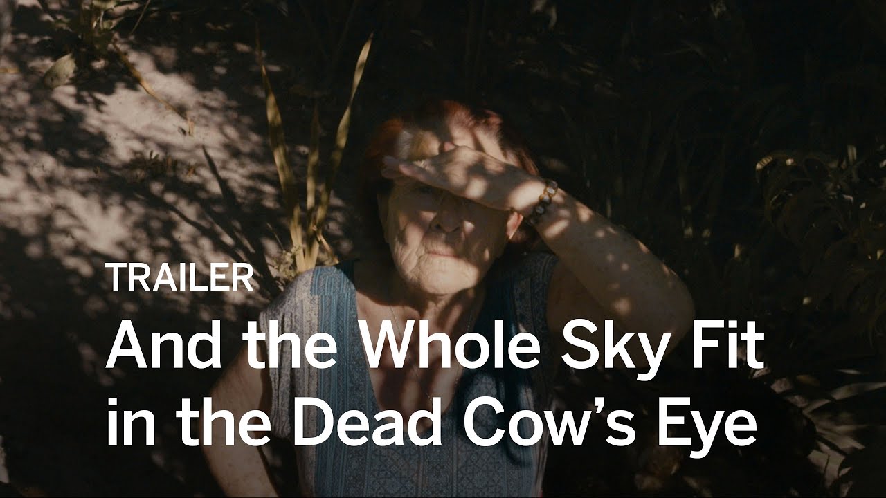 AND THE WHOLE SKY FIT IN THE DEAD COW'S EYE Trailer | Festival 2016