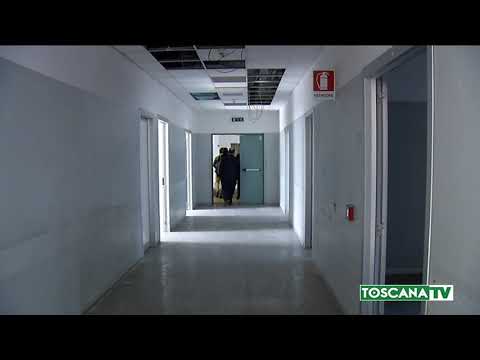 2019-06-26 PRATO - TAR, ABBATTIMENTO MED VA ALLA DEL DEBBIO