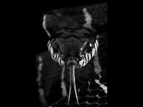 Dassol ft 2n & Alimay - Dom Perignon (Prod by. Jahlil Beat)